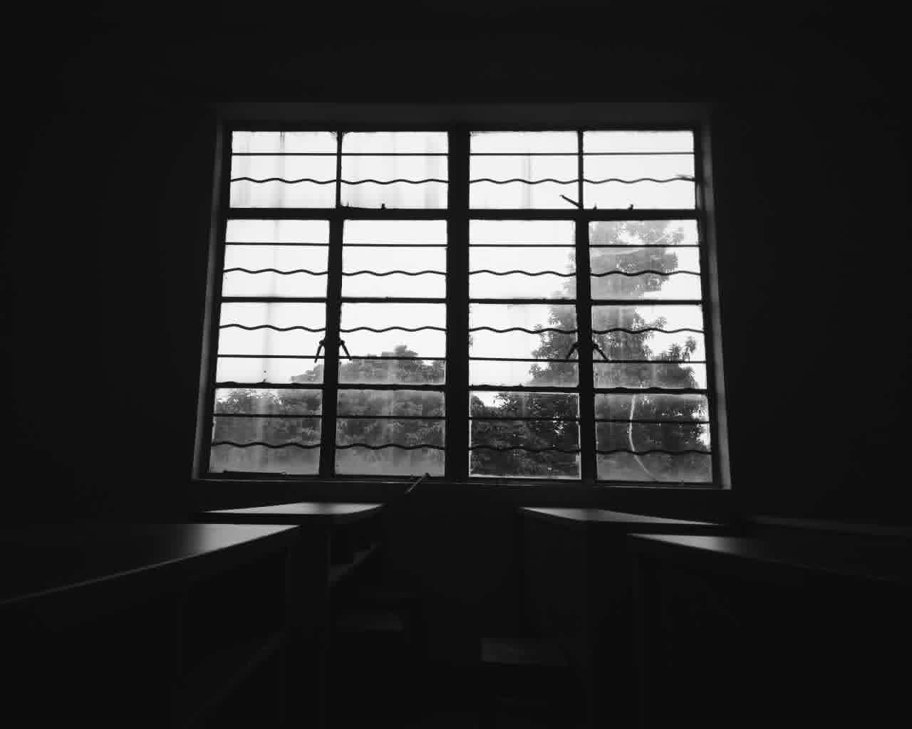 周赛:窗—孤寂